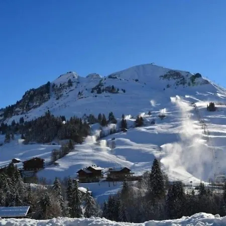Le Grand-bornand, 2 Pièces, 6 Personnes - Fr-1-241-18 * Le Grand-Bornand